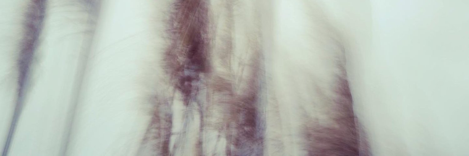 sheepyk's profile banner image