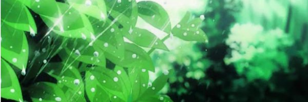 kiwiember Profile Banner