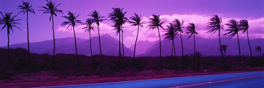 dinangela_'s profile banner image
