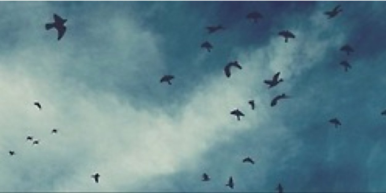 ZoeSuggCL's profile banner image