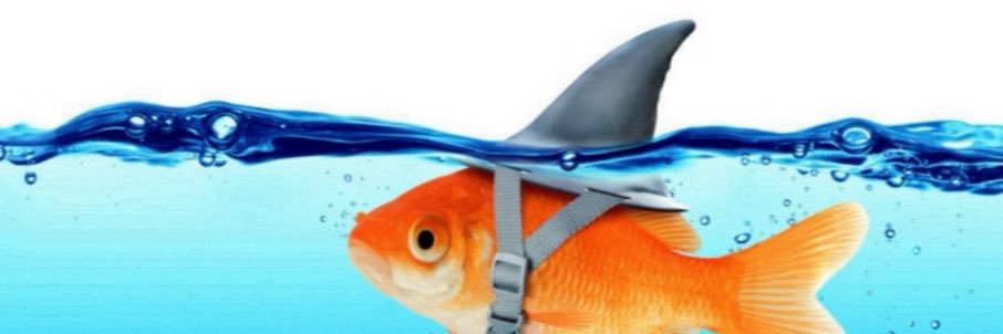 PercDaworstt's profile banner image