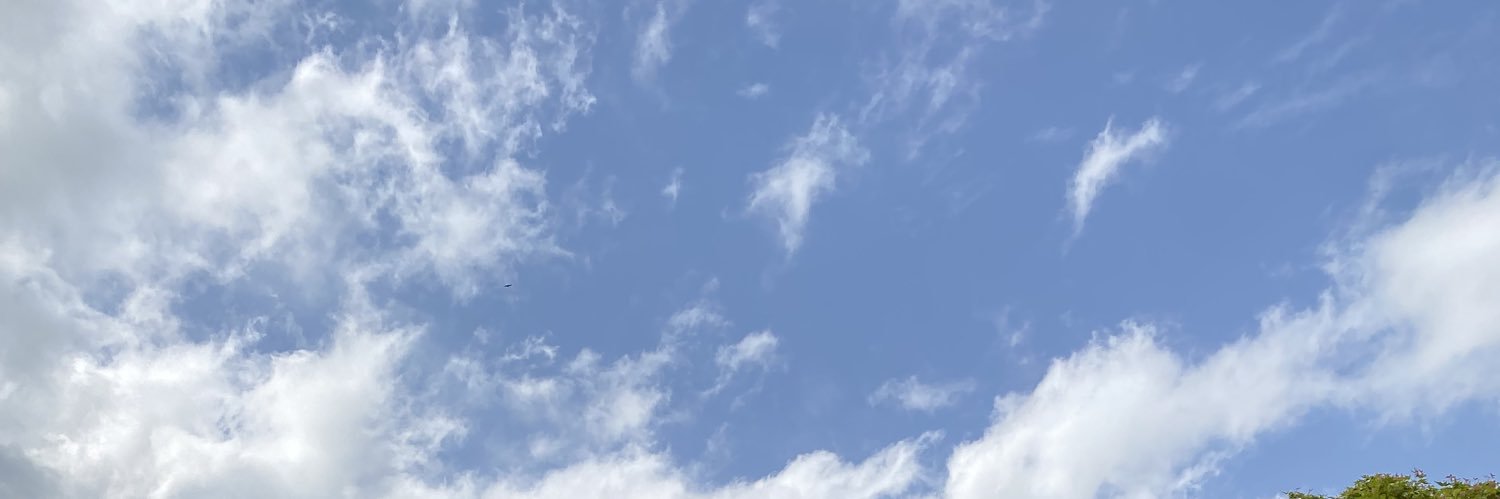サリー| LPデザイナー banner