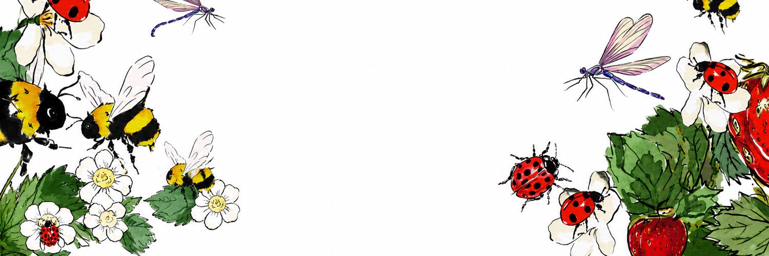 sunraae's profile banner image