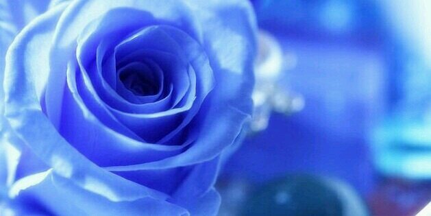 ____S_hrn's profile banner image