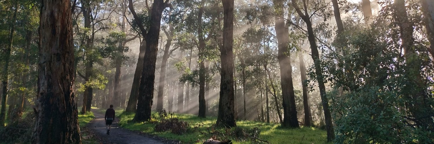 Dr Eloise Litterbach banner