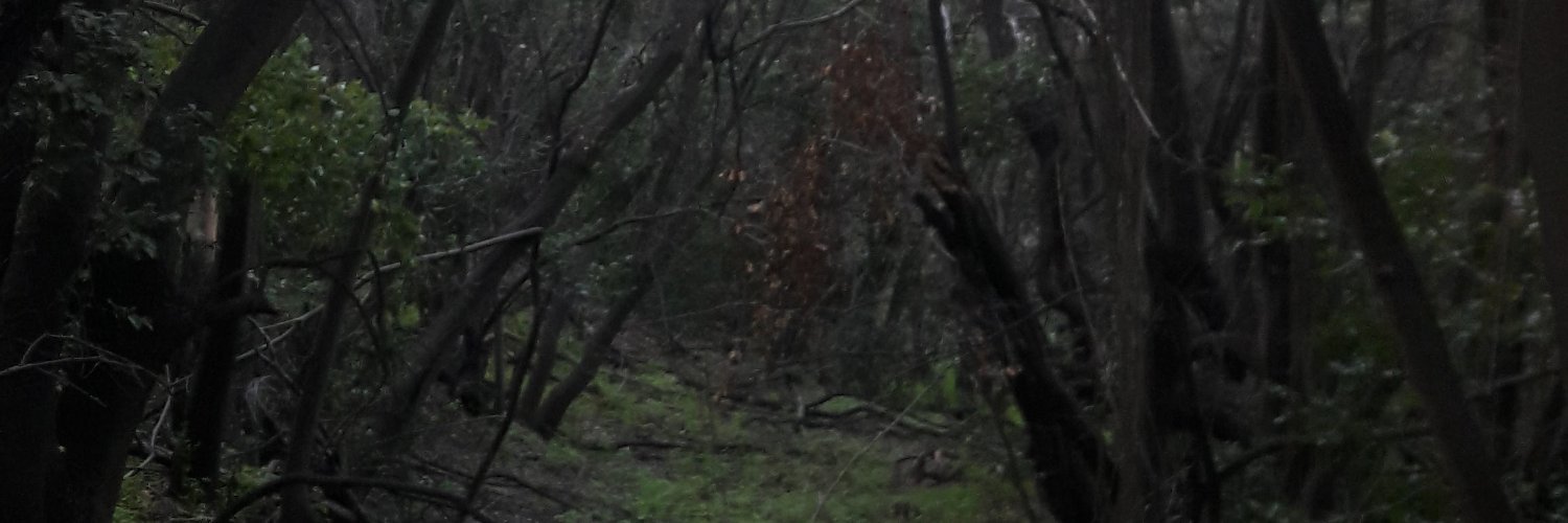 sifret1908's profile banner image