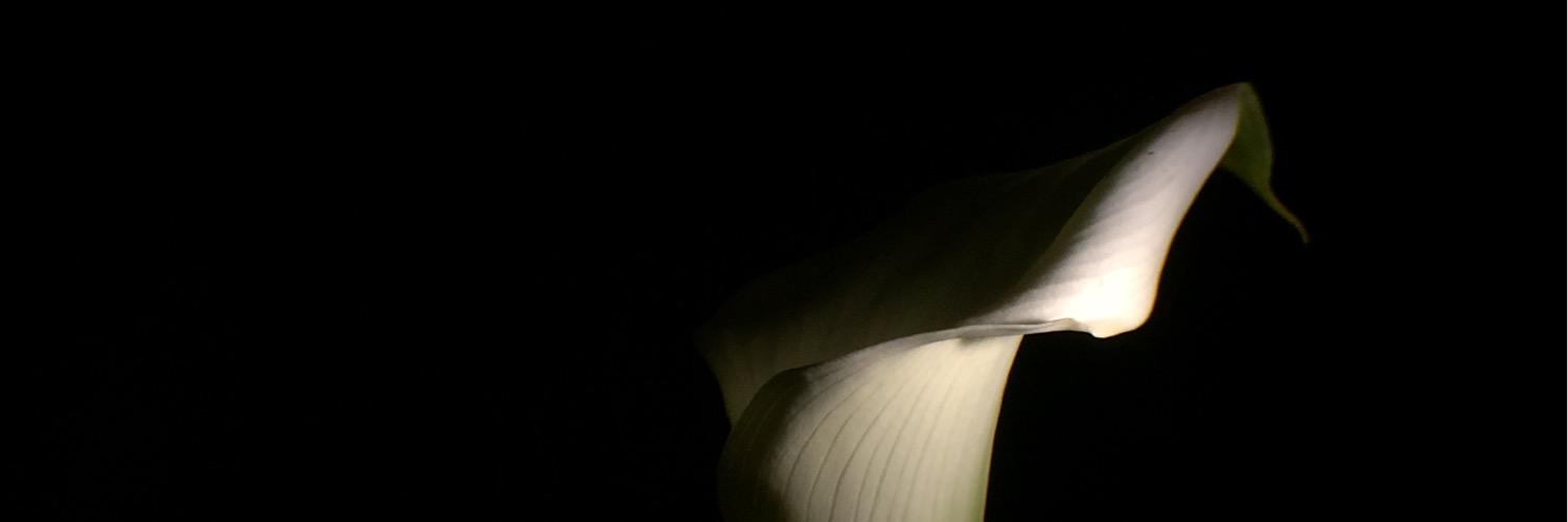 Charmx's profile banner image