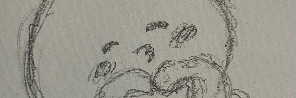 りんごあめ banner