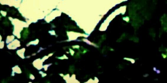 eateatlook's profile banner image