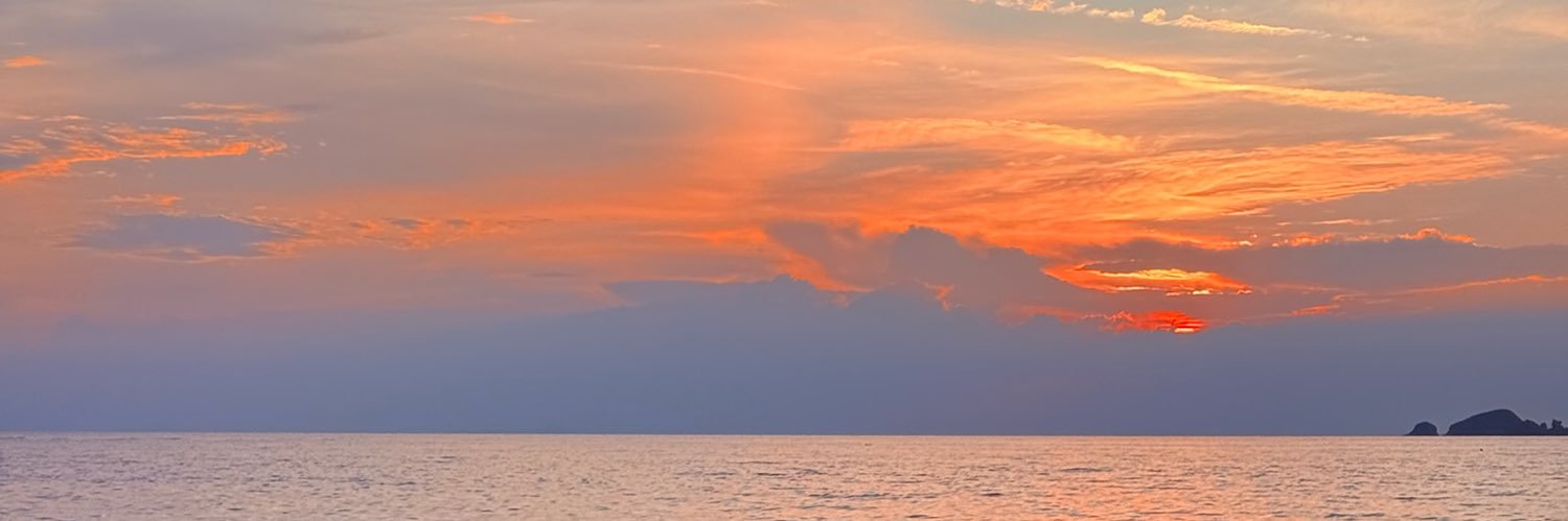 lilyputr11's profile banner image