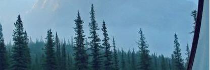 al_lea's profile banner image