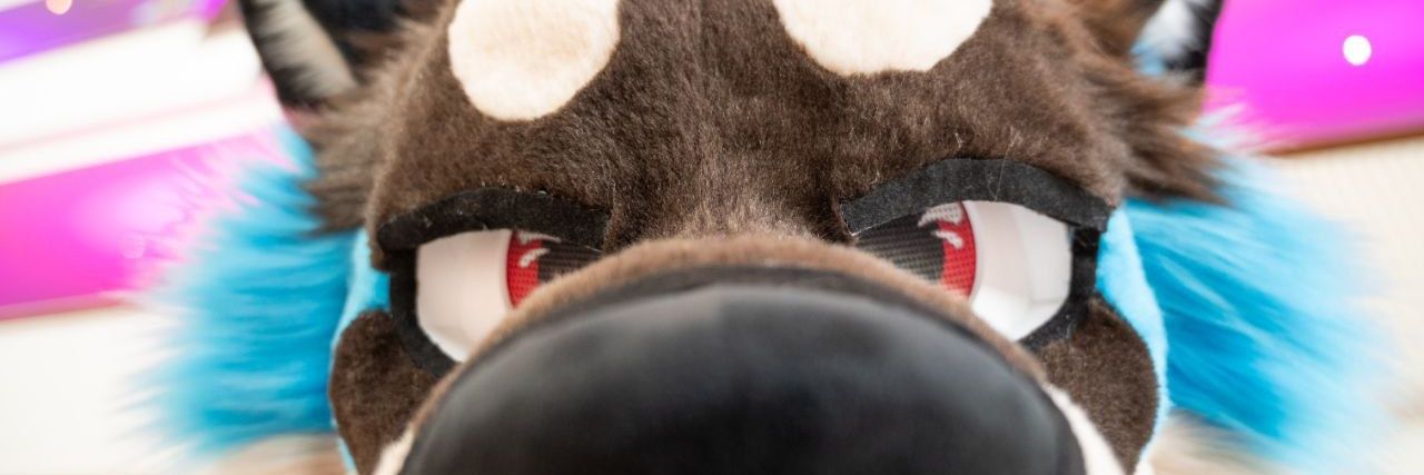 Riser_Wuffles's profile banner image