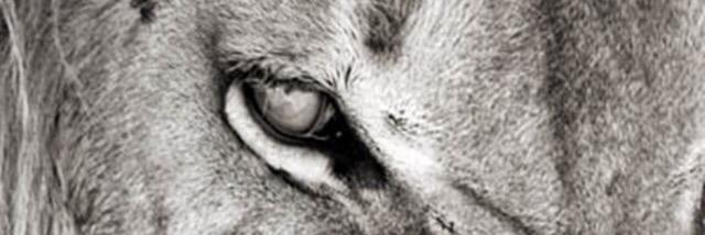TimmyT08's profile banner image