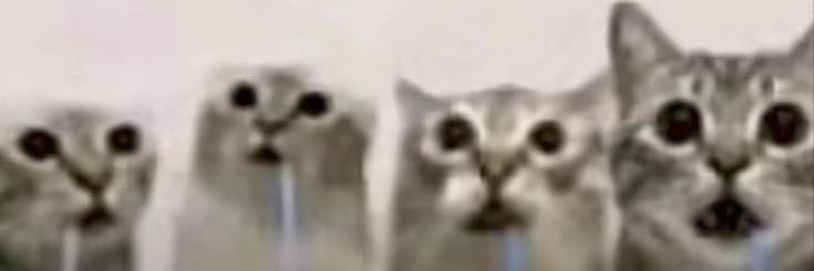 maomaocoe's profile banner image
