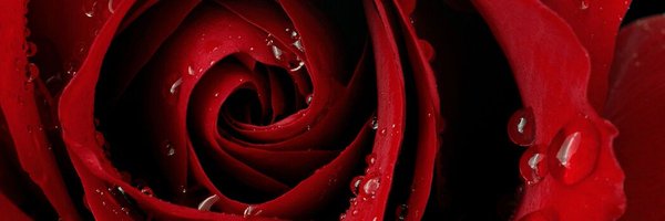 SHOWTIMESLT Profile Banner