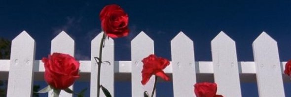 🐦~Boomie~🐦 harpy drawer :)🔞 banner