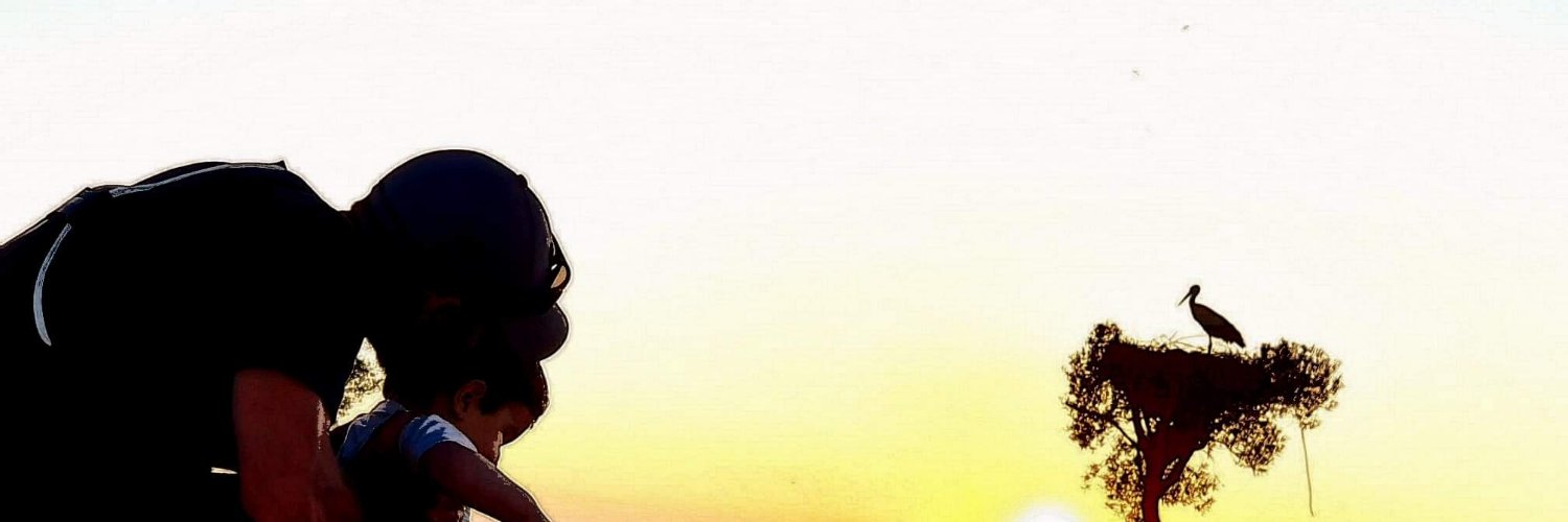 luismiferrari's profile banner image