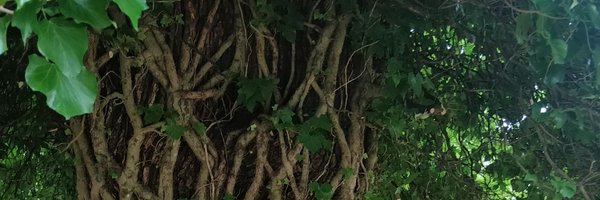 J2R5M3 Profile Banner