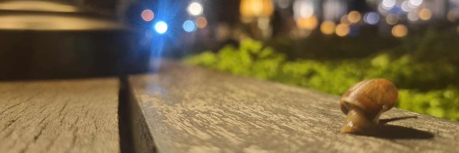 bestanut's profile banner image