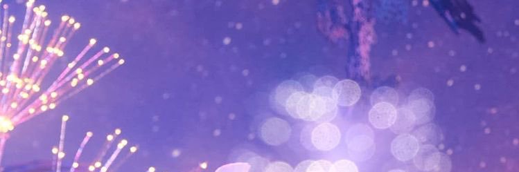 FLORISTACLUB's profile banner image