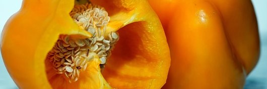 DougDougLewds's banner