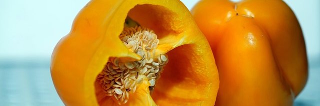 DougDougLewds banner