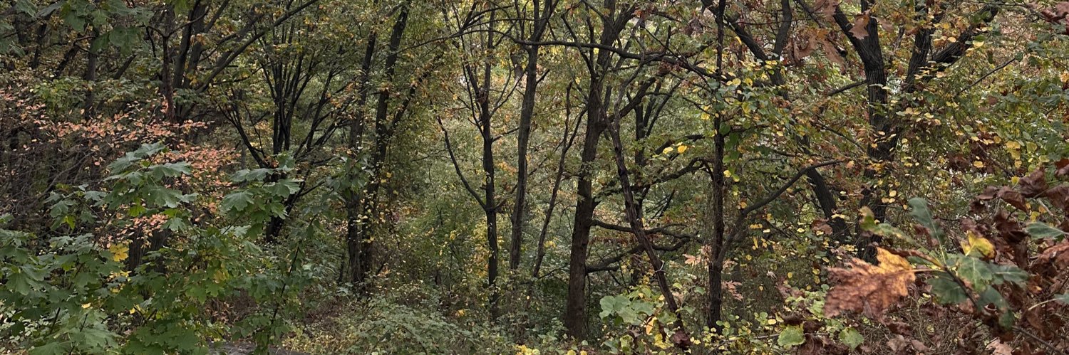 esoterichobbit's profile banner image