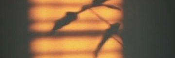 CherryBomb_c's profile banner image