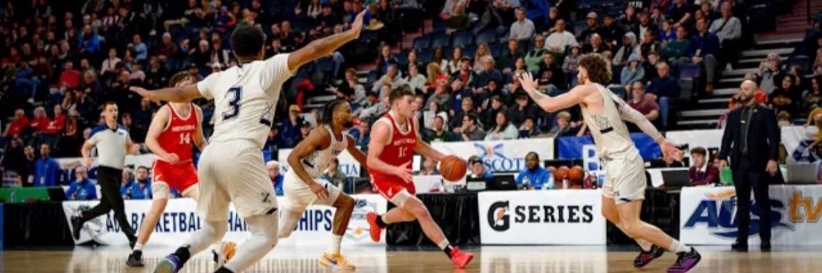 Amanda Boardman banner