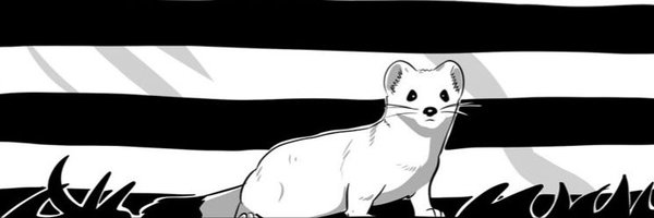 Coeur2druide Profile Banner