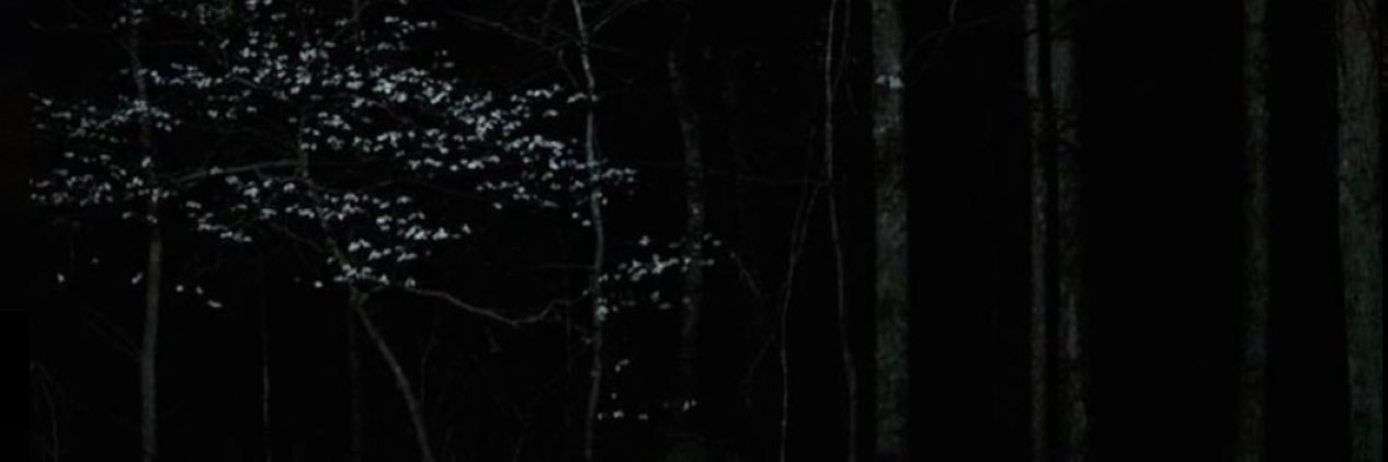 henka banner