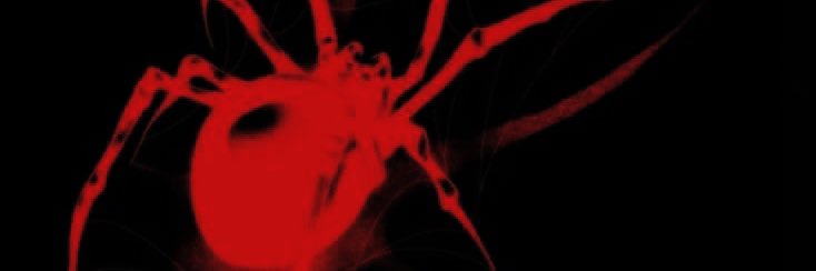 𝓪𝔃𝓮𝓲𝓵𝓪🍃 banner