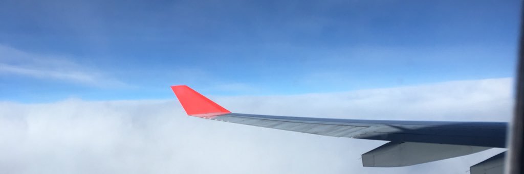 pamelamado's profile banner image