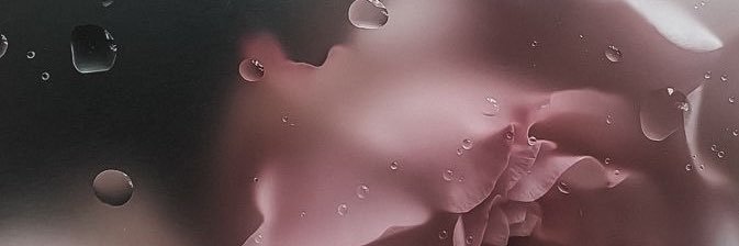 lalaapooy's profile banner image
