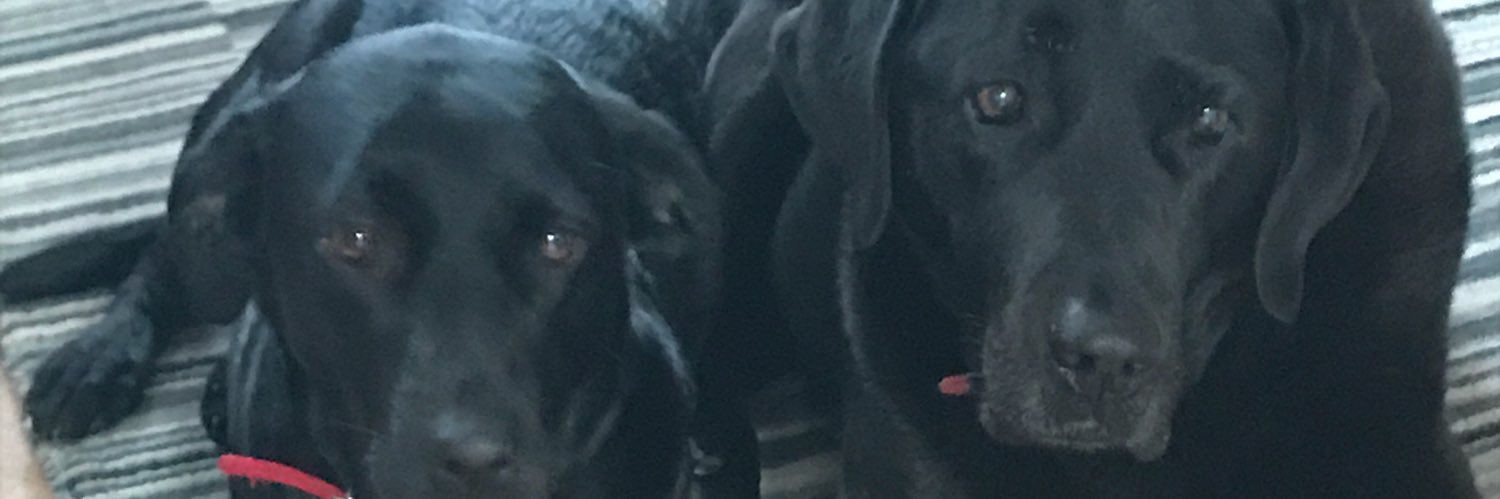 woffychris's profile banner image