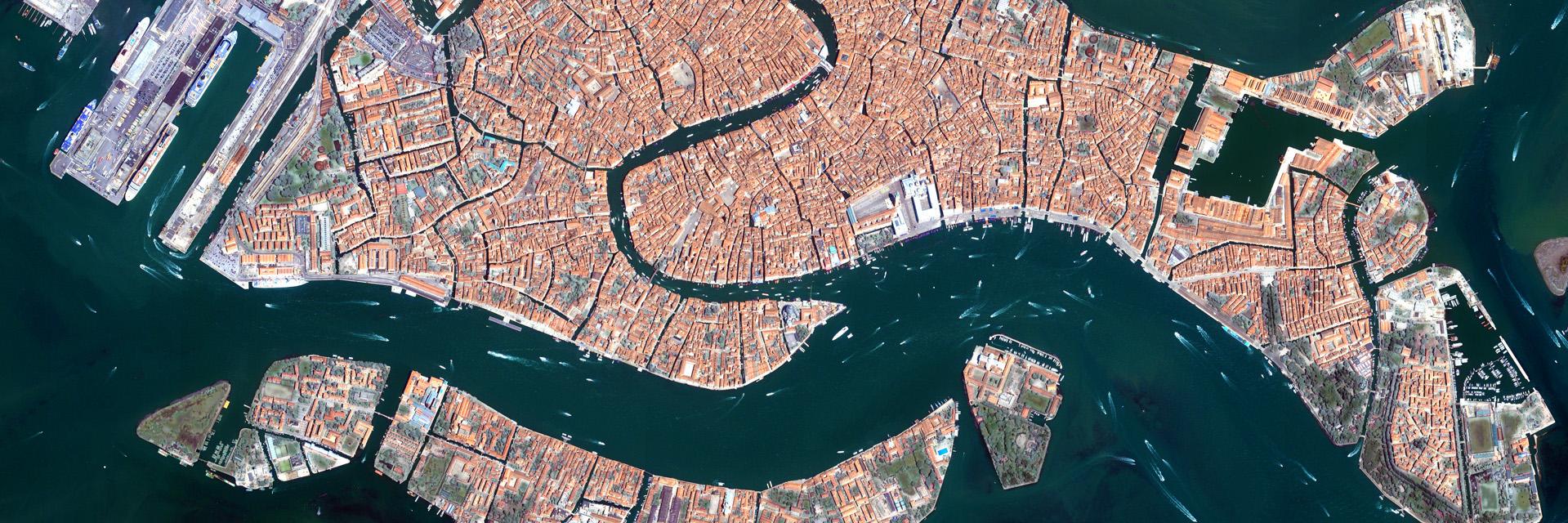 Adeline Frenzel banner