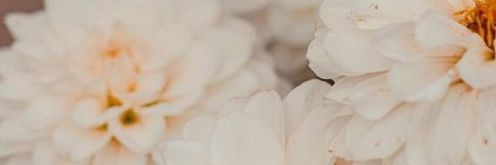 drshl_lv's profile banner image