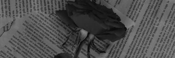 Antonel93462639's profile banner image