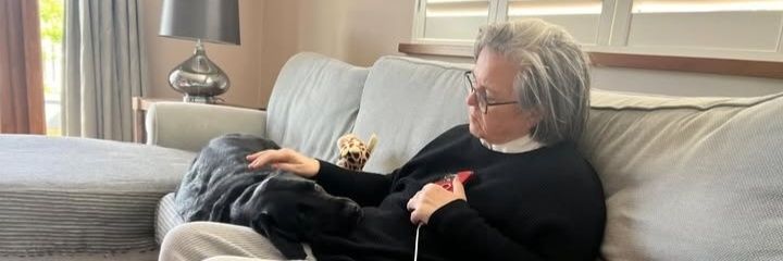 Rosie O'Donnell banner