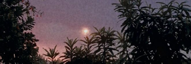 puteri_26's profile banner image