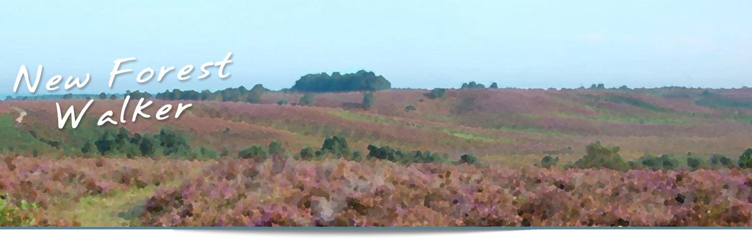 NewForestWalker's profile banner image
