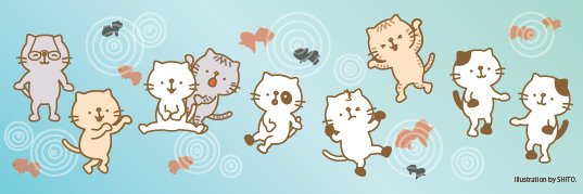 noppocat's profile banner image