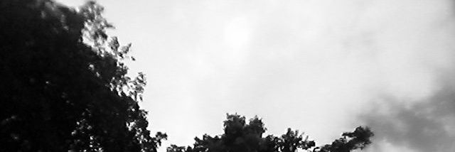 Hey_Cheelly's profile banner image