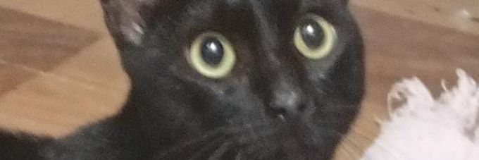JulioBorge78142's profile banner image