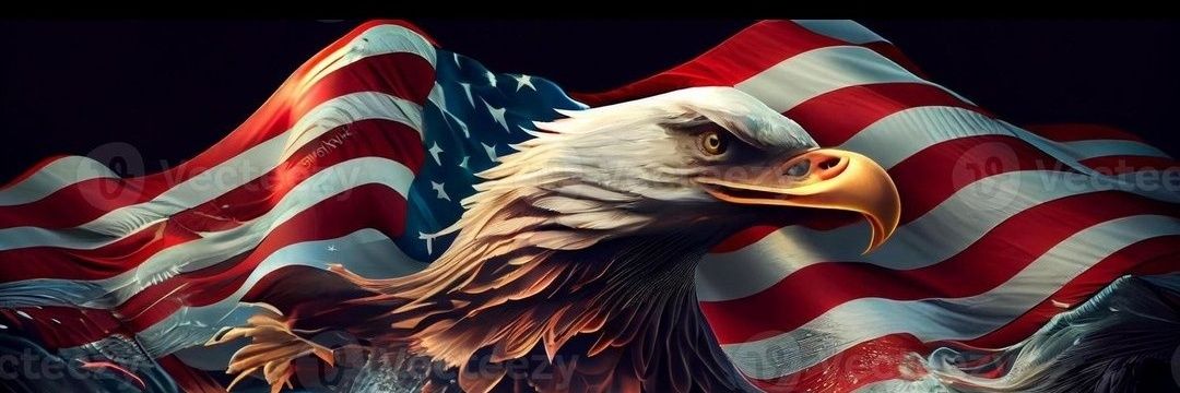 🇺🇸Mrs. Patriot🇺🇸's banner