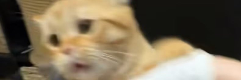 paitance15531's profile banner image