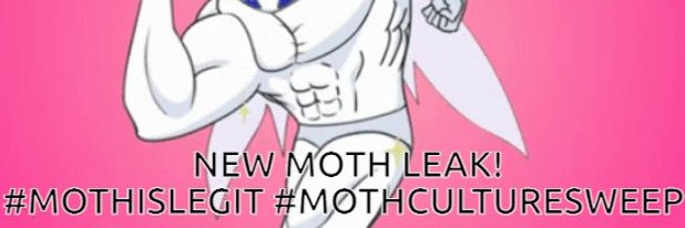 Moth Culture banner