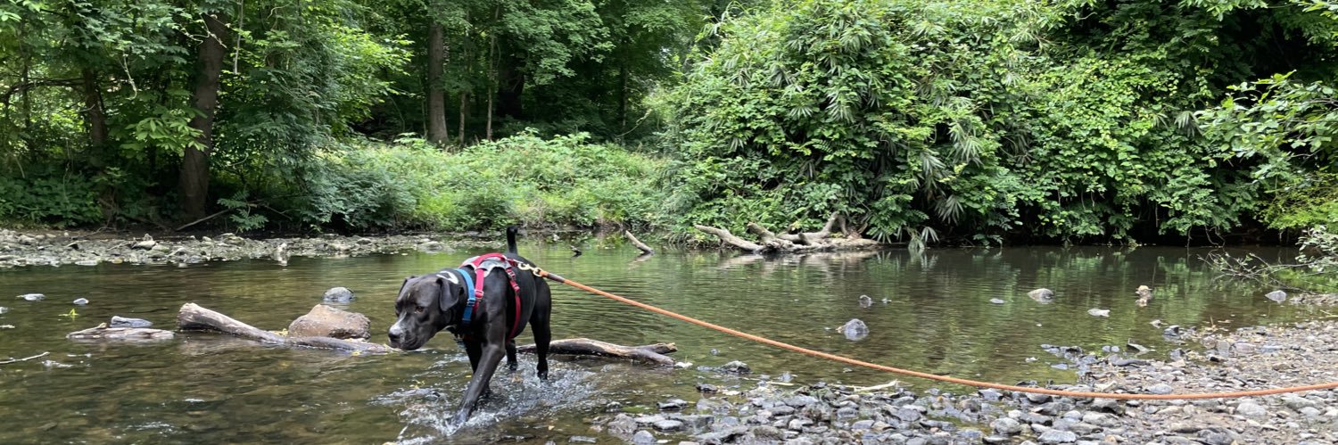 Shannon Dooling banner