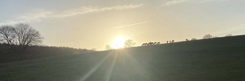heather_wass's profile banner image