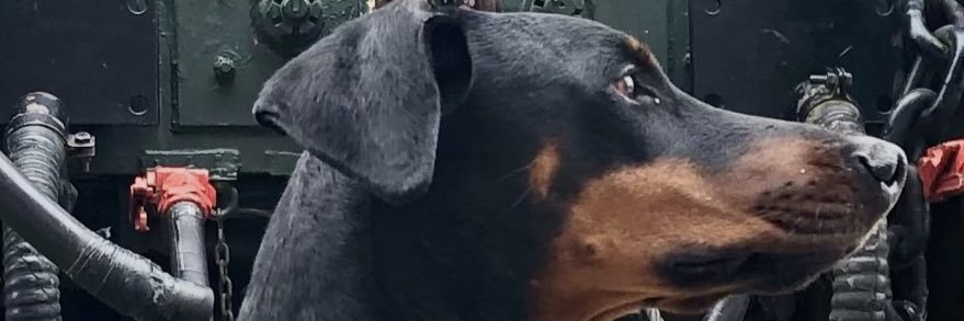 banalia's profile banner image